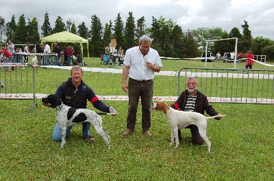 Du Marais Roy - Classement Pointer Club